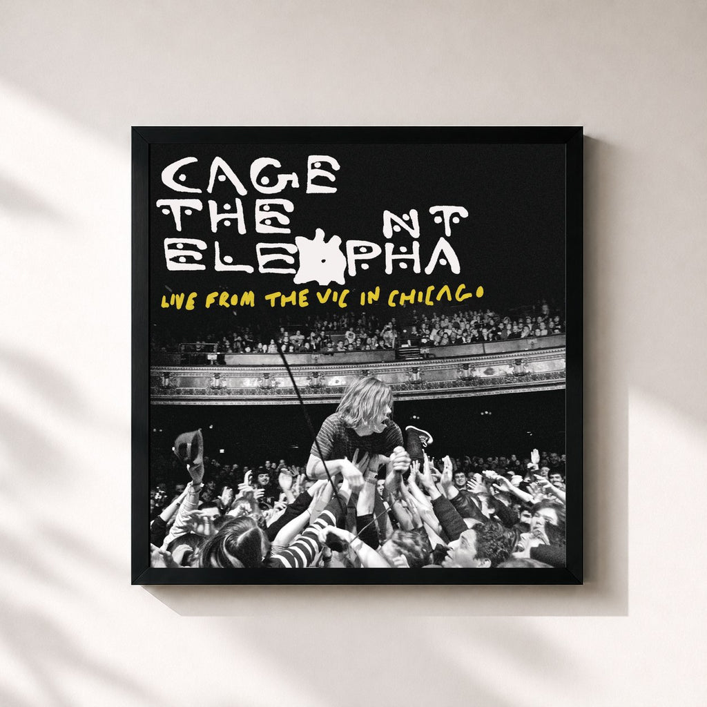Cage The Elephant · Live From The Vic In Chicago