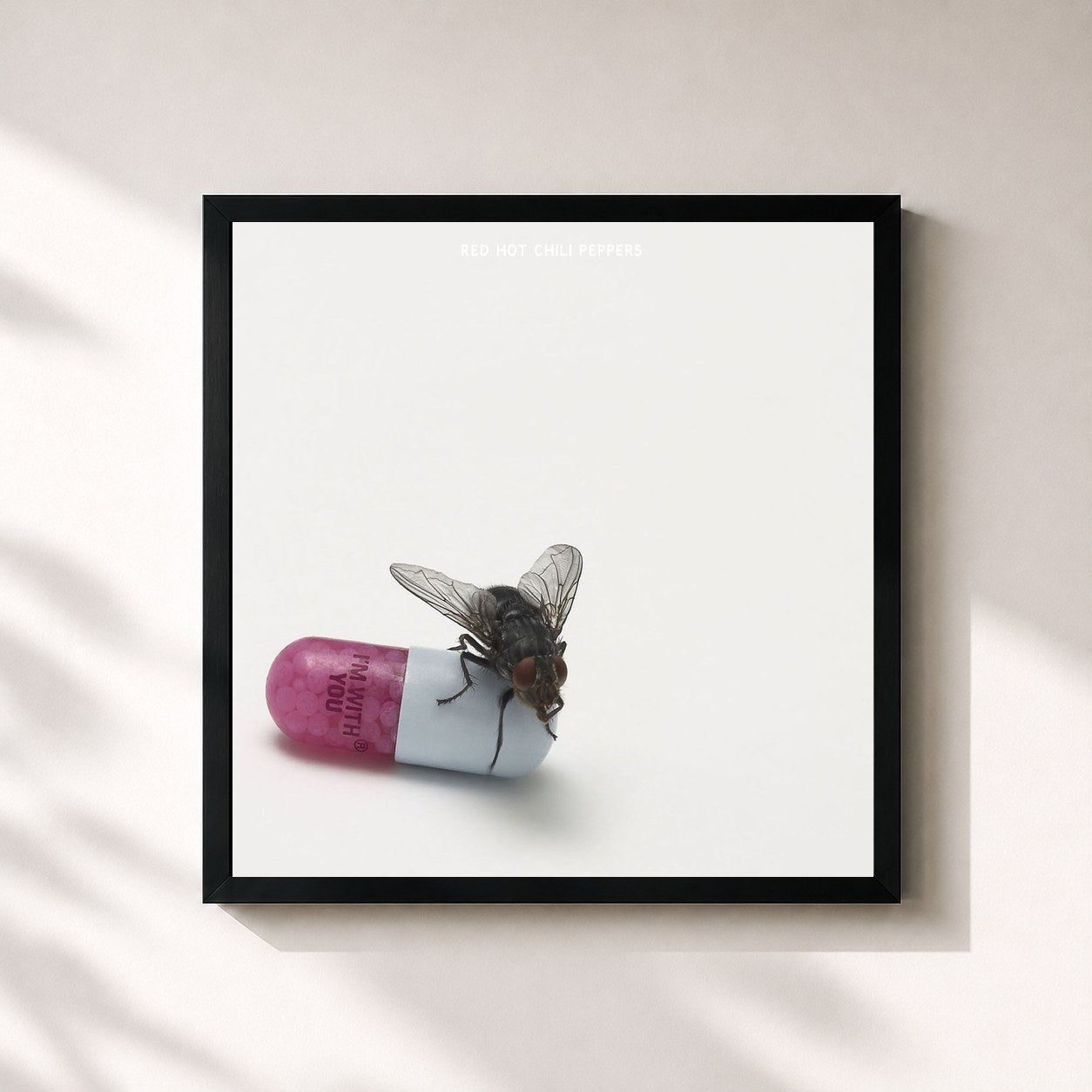 Red Hot Chili Peppers · The Studio Album Collection 1991 - 2011