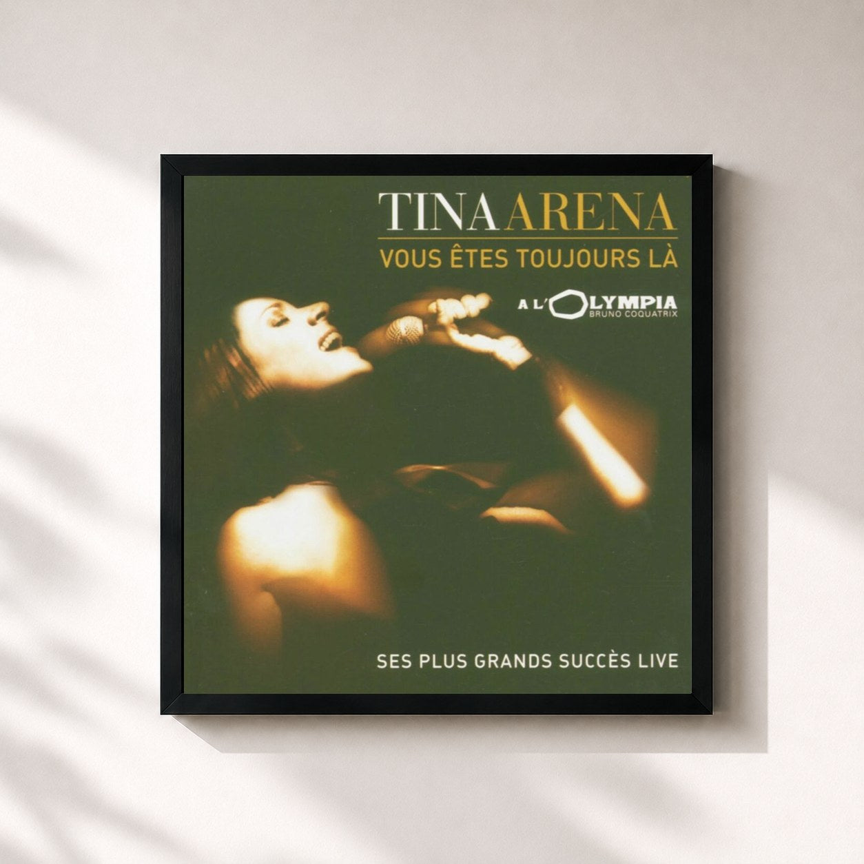 Tina Arena · Vous êtes toujours là