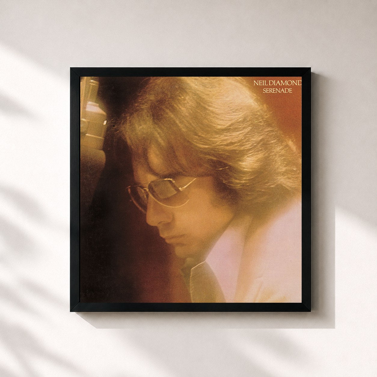 Neil Diamond · Serenade