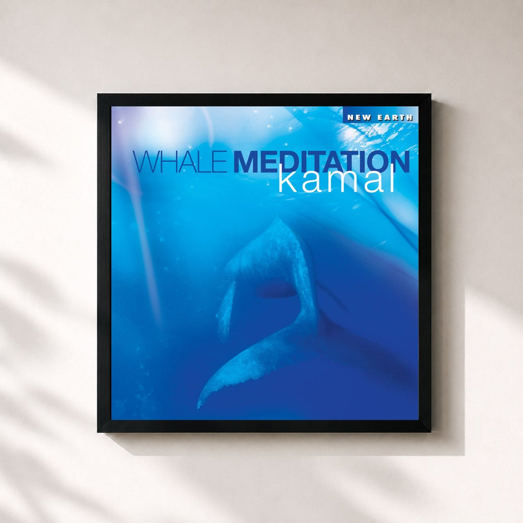 Kamal · Whale Meditation