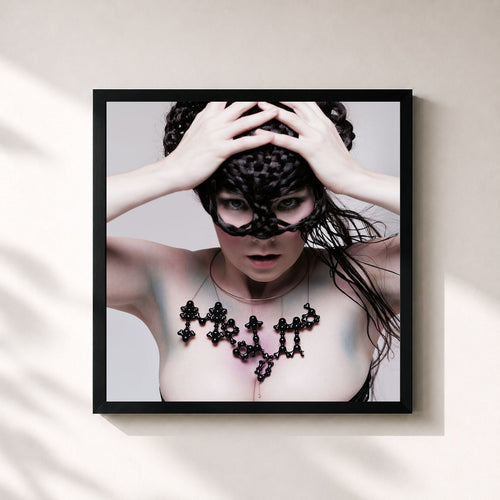 Björk · Medúlla — Gerahmter Kunstdruck
