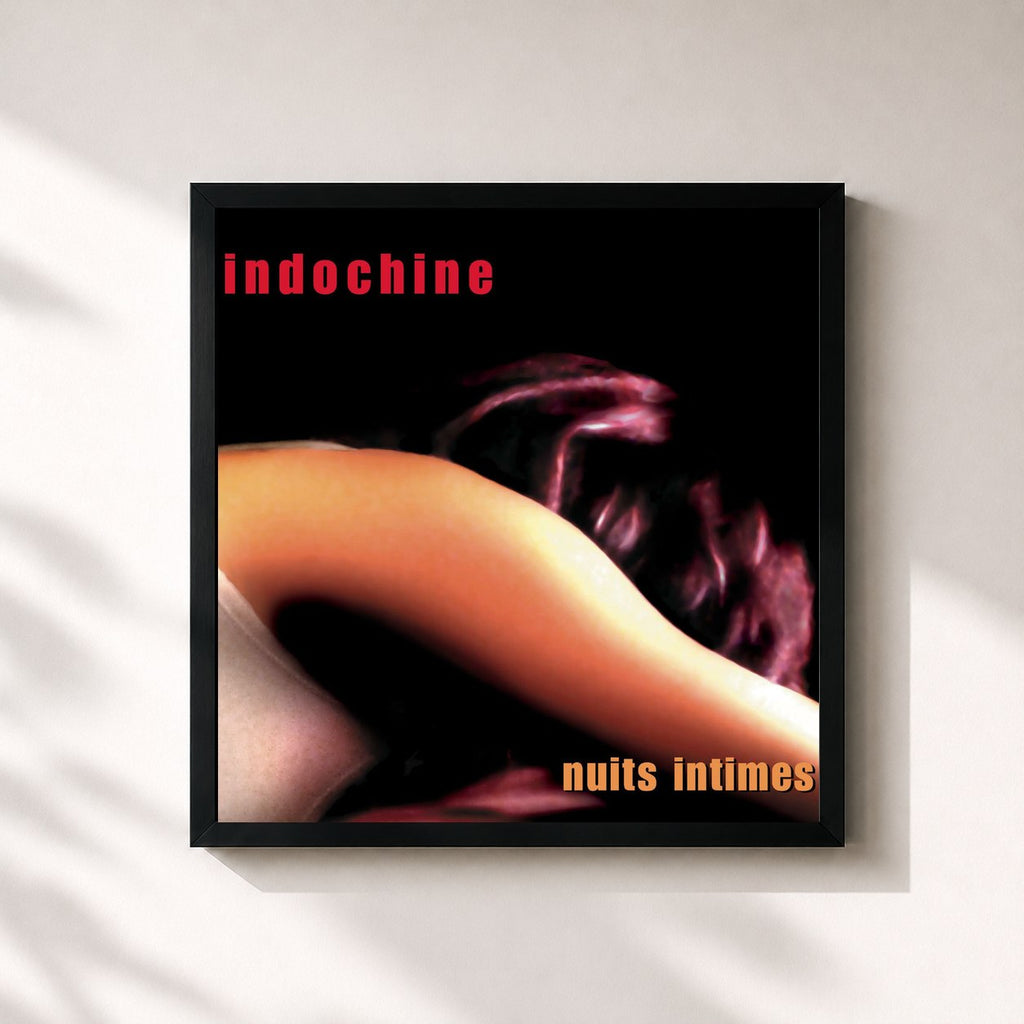 Tableau de l'album Nuits intimes de Indochine, imprimé et encadré en France