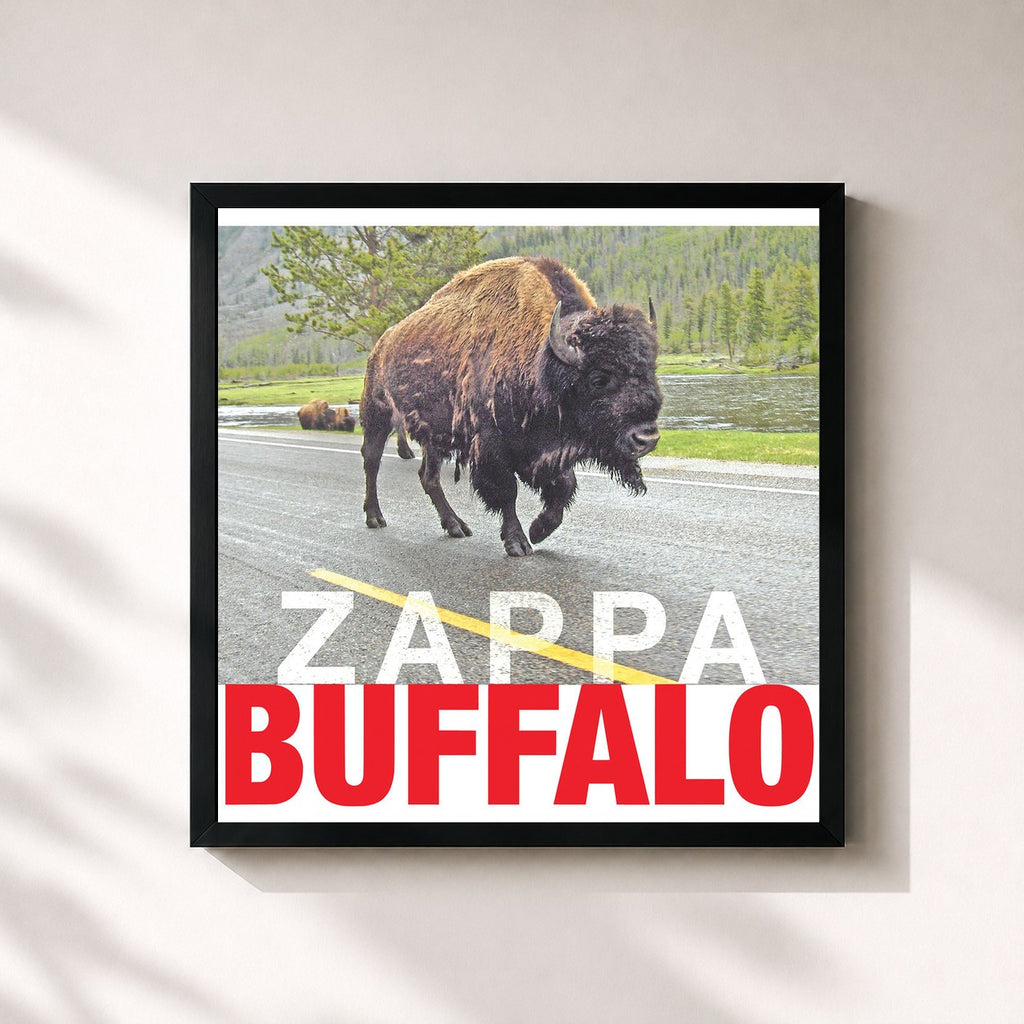 Frank Zappa – Buffalo (Live At Buffalo Memorial Auditorium/1980)