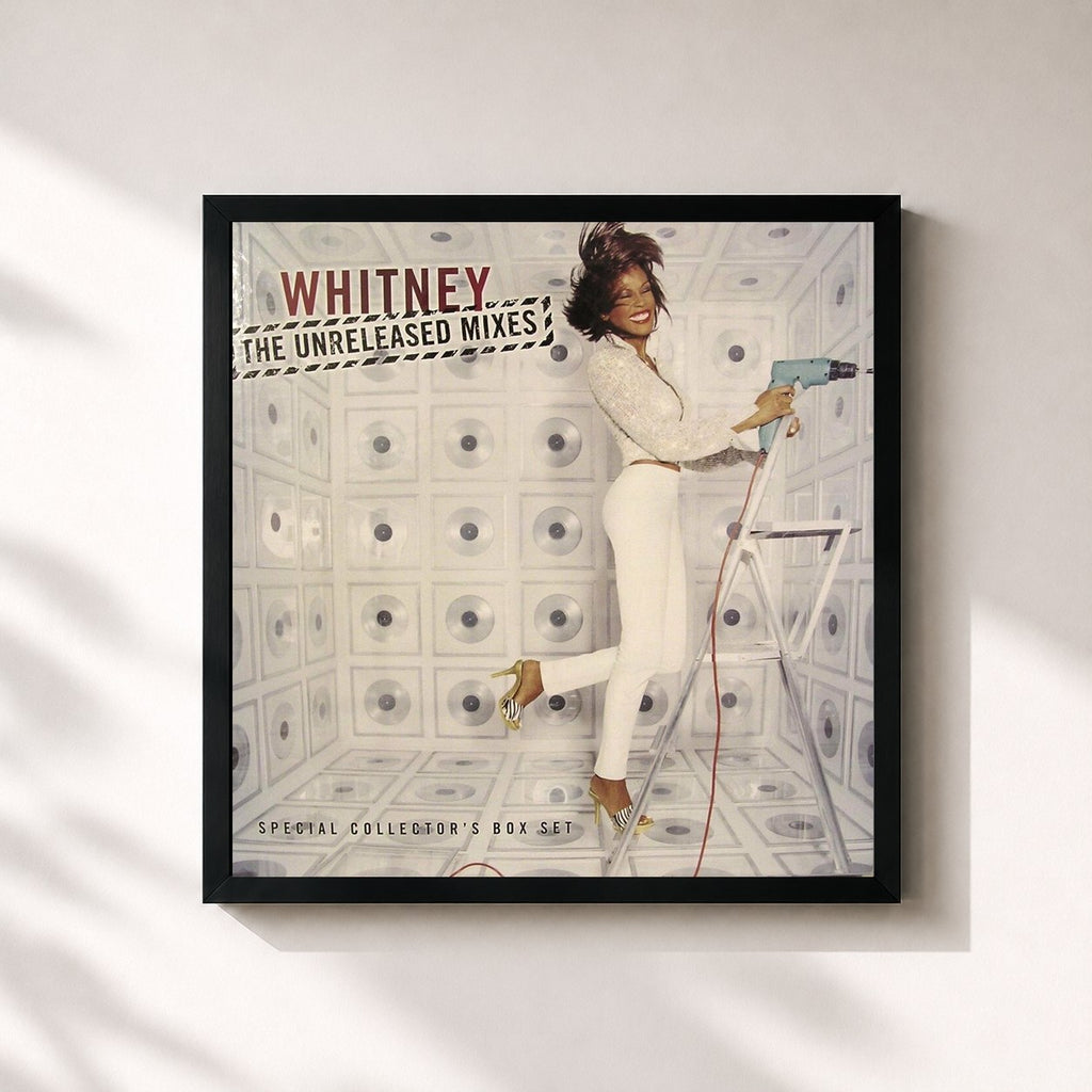Whitney Houston · Dance Vault Mixes - The Unreleased Mixes (Special Collector's Box Set)