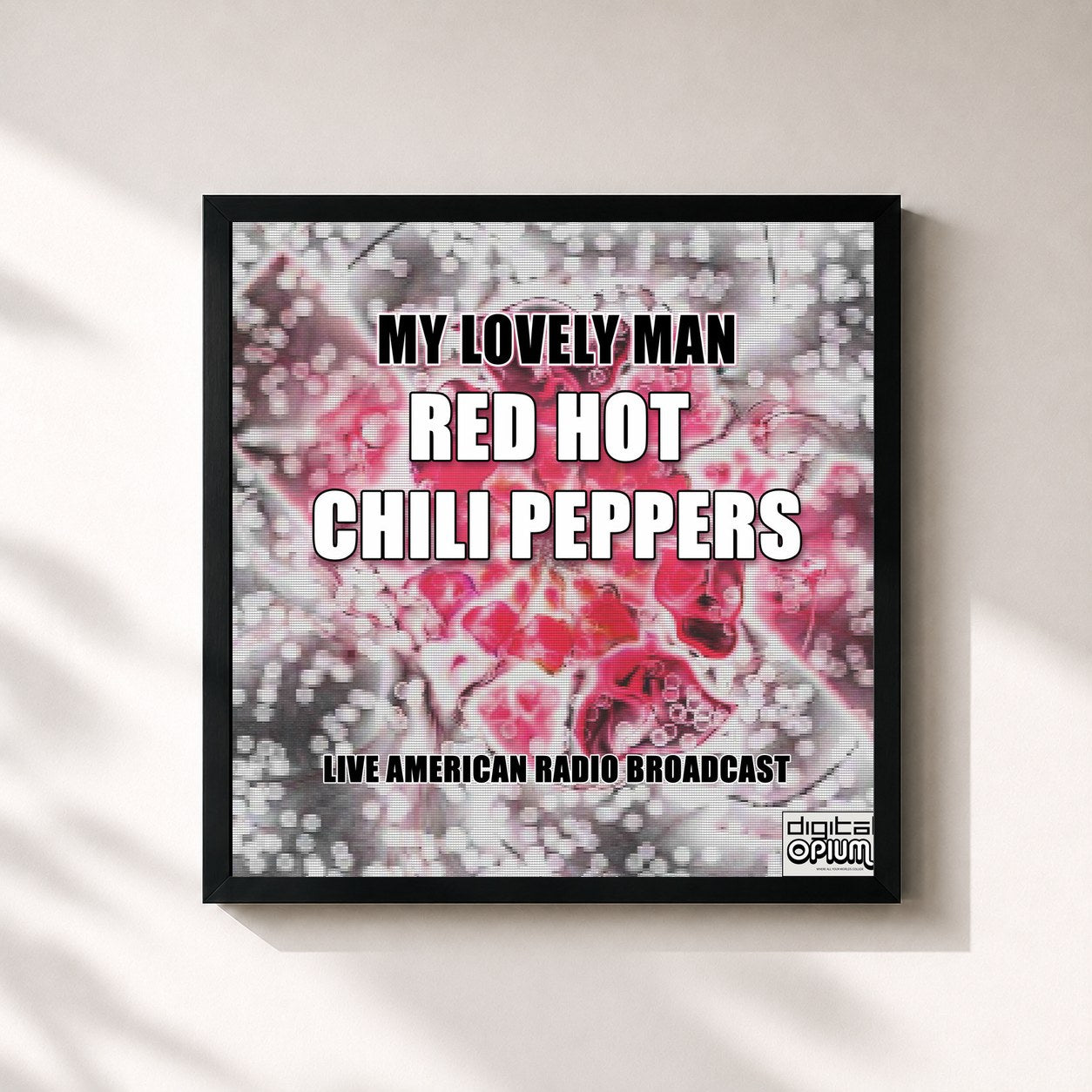 Red Hot Chili Peppers · My Lovely Man (Live)