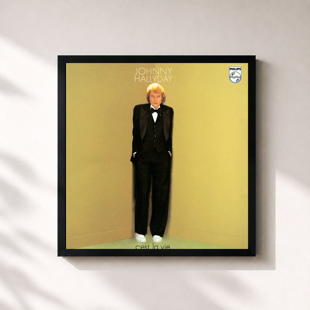 Johnny Hallyday · C'est la vie