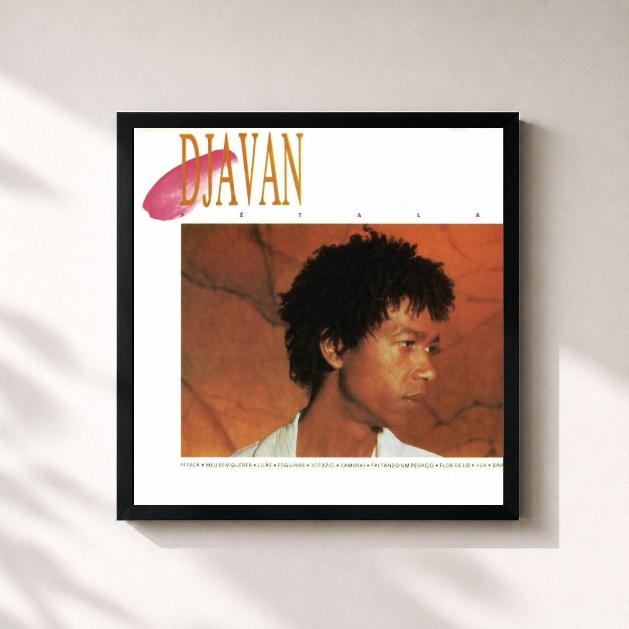 Djavan · Grandes Sucessos
