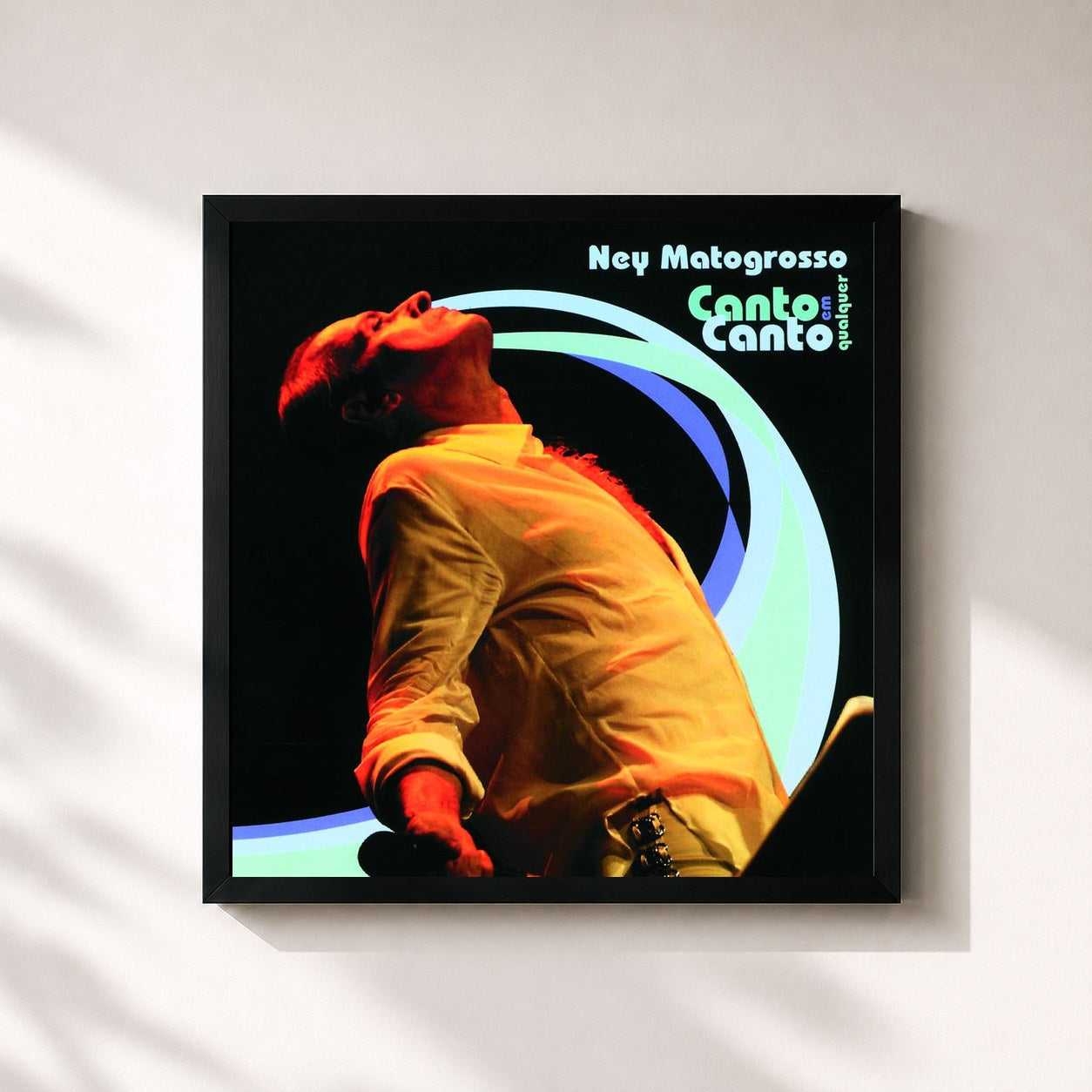 Ney Matogrosso · Canto Em Qualquer Canto