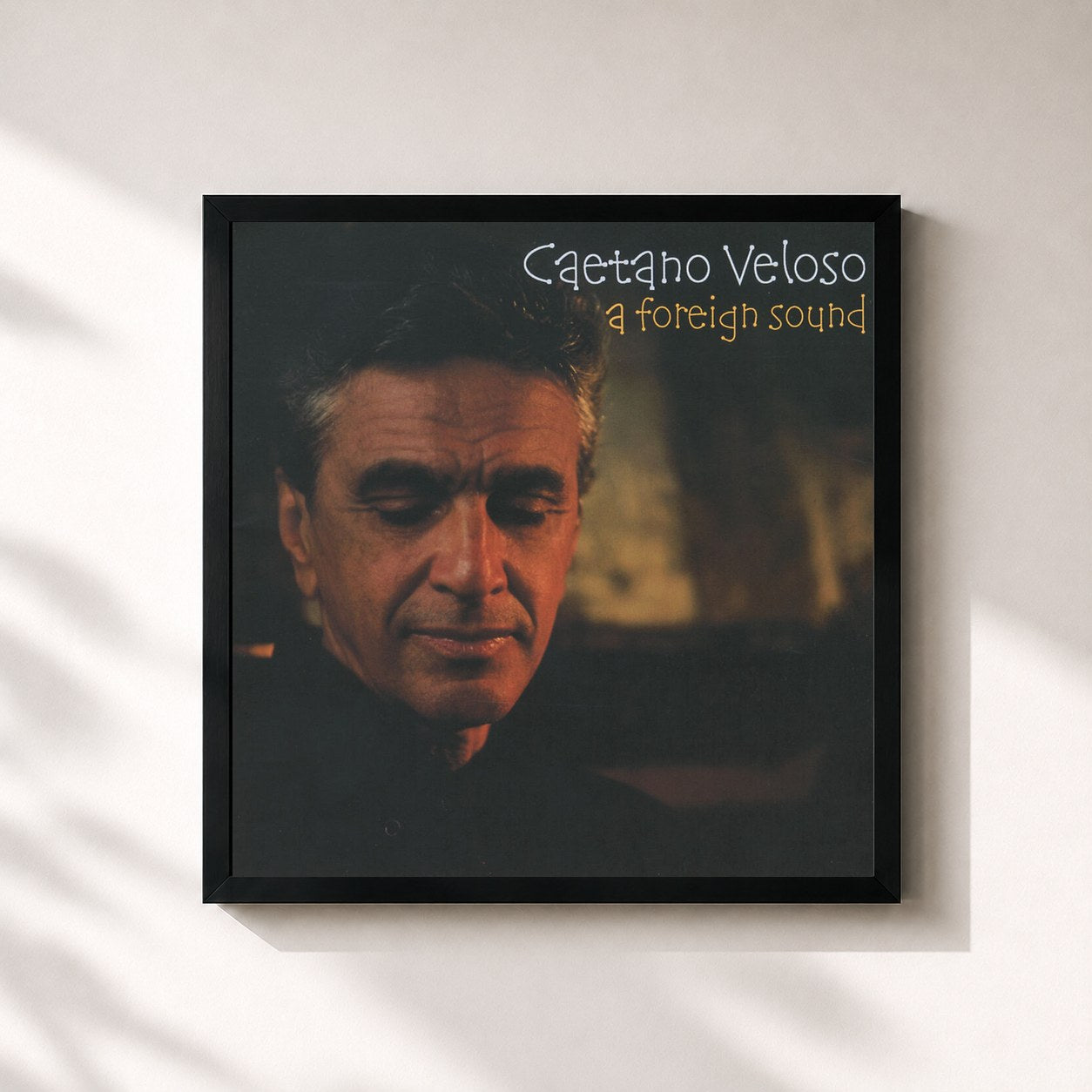 Caetano Veloso · A Foreign Sound