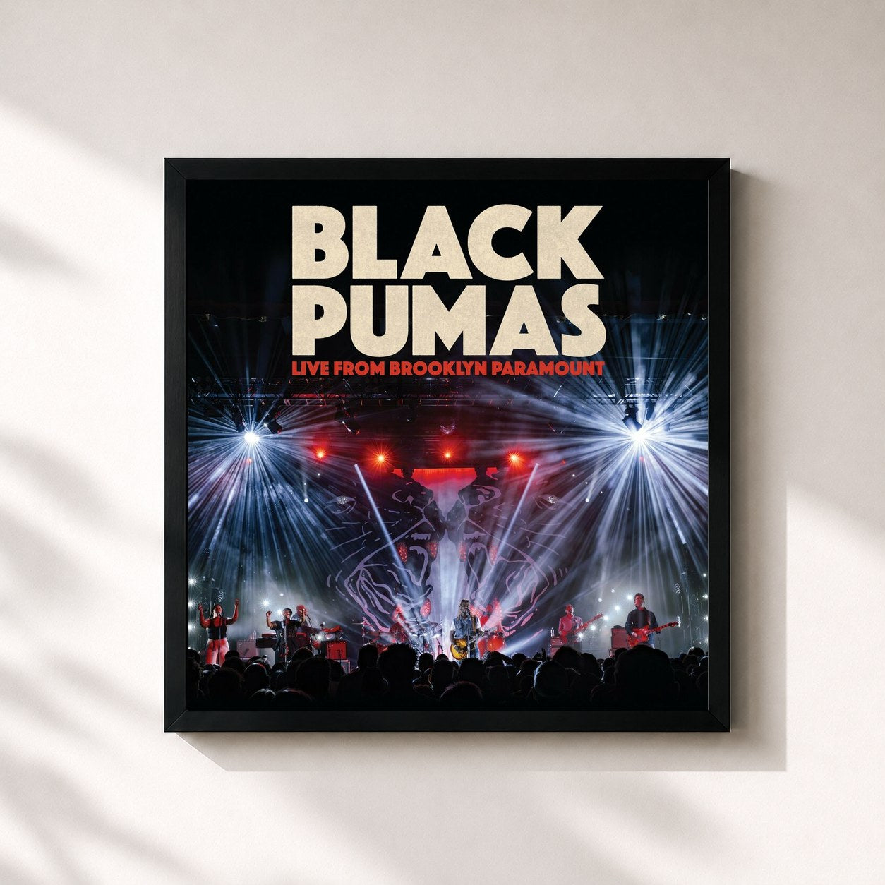 Black Pumas · Live from Brooklyn Paramount