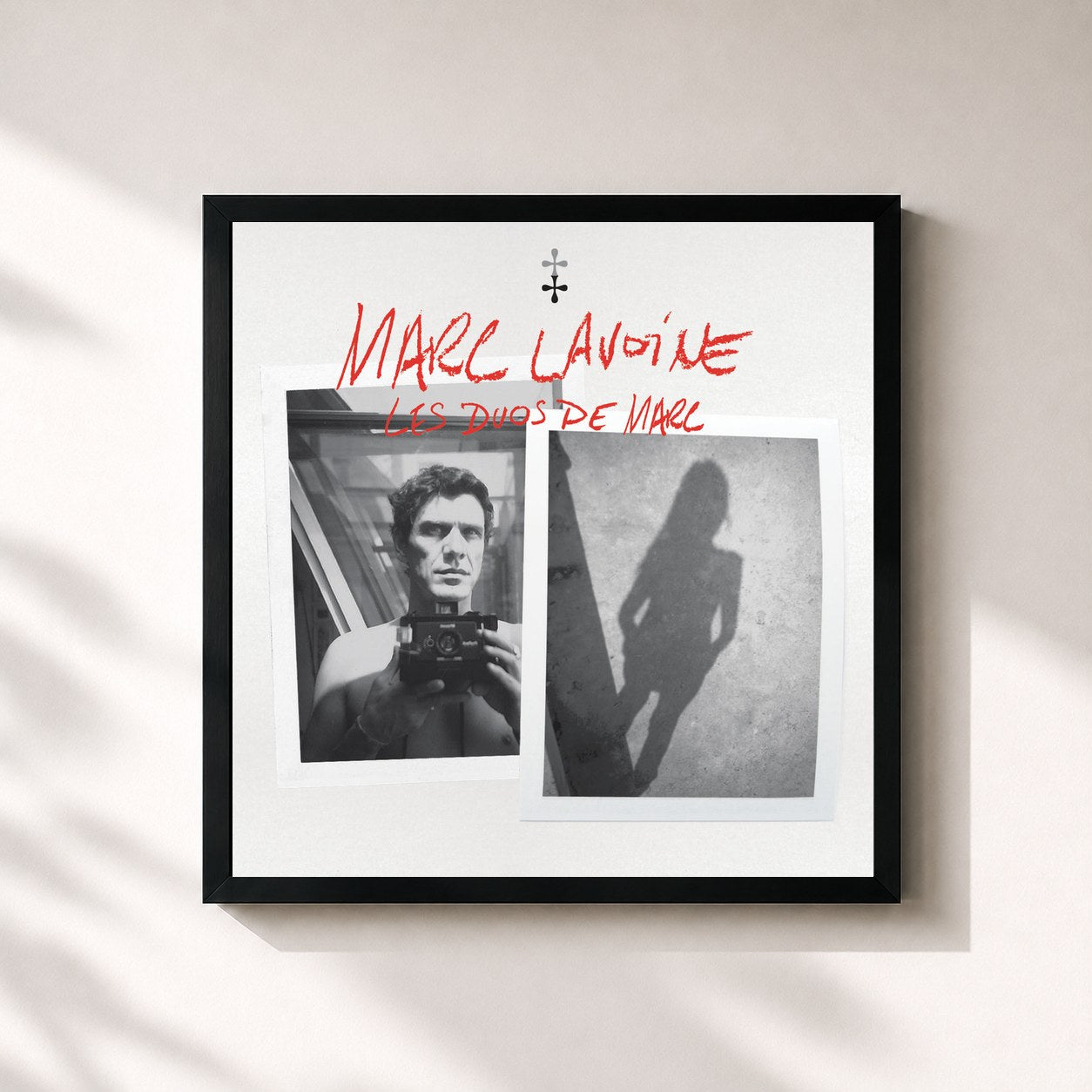 Marc Lavoine · Les duos de Marc