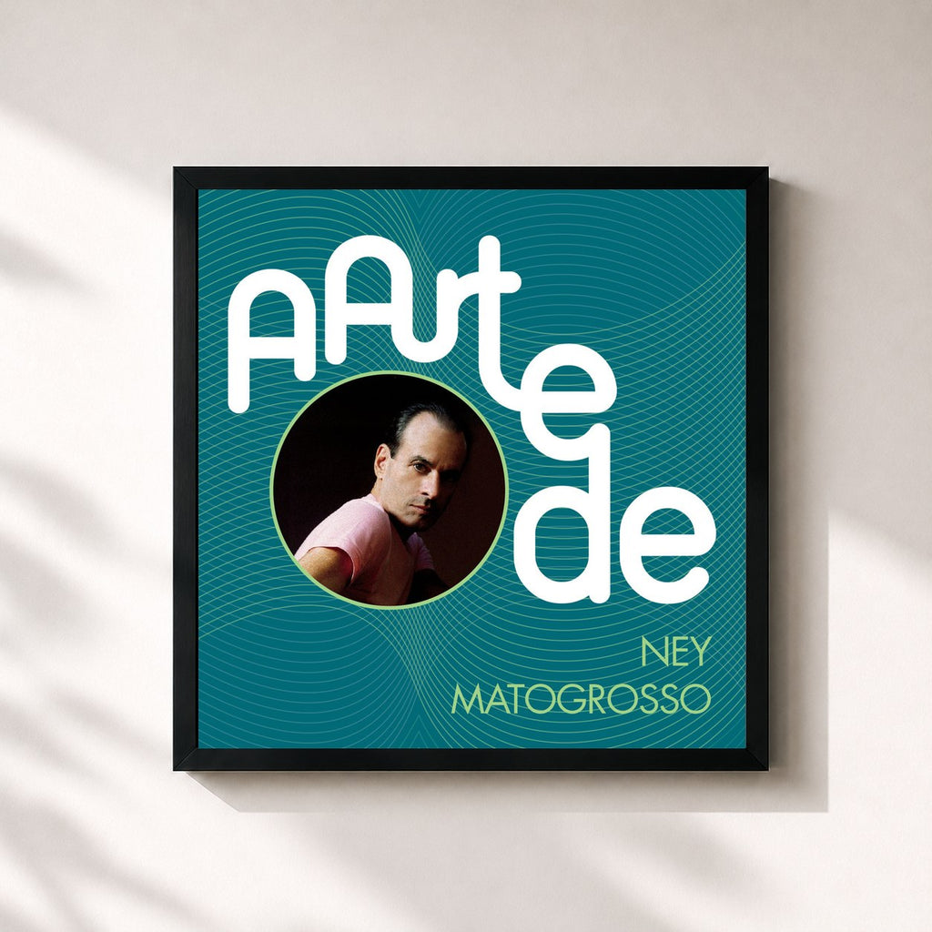 Ney Matogrosso · A Arte De Ney Matogrosso
