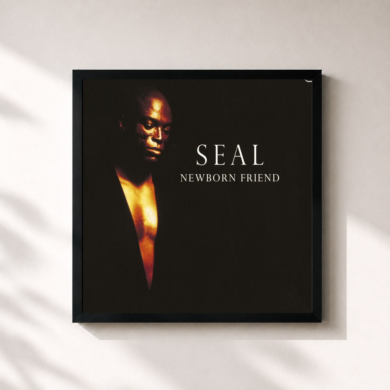 Seal · Newborn Friend
