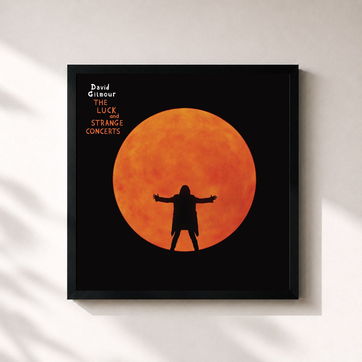 David Gilmour · The Luck and Strange Concerts