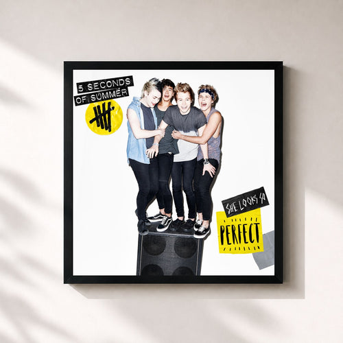 5 Seconds Of Summer · She Looks So Perfect