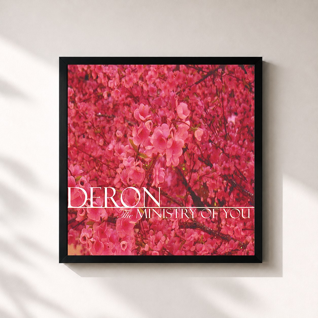DeRon · The Ministry of You
