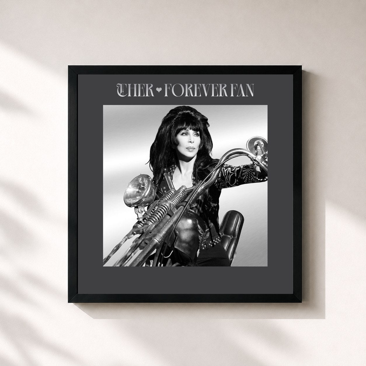 Cher · Forever Fan