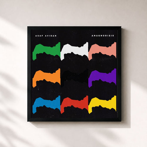 Asaf Avidan · Anagnorisis — Stampa incorniciata