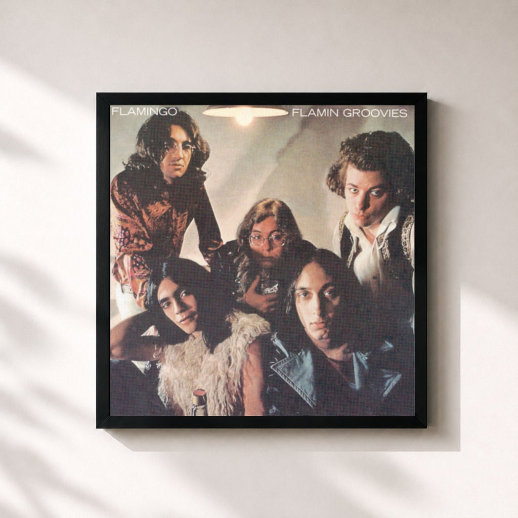 Flamin' Groovies – Flamingo