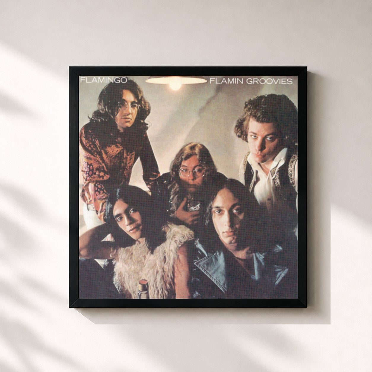 Flamin' Groovies – Flamingo