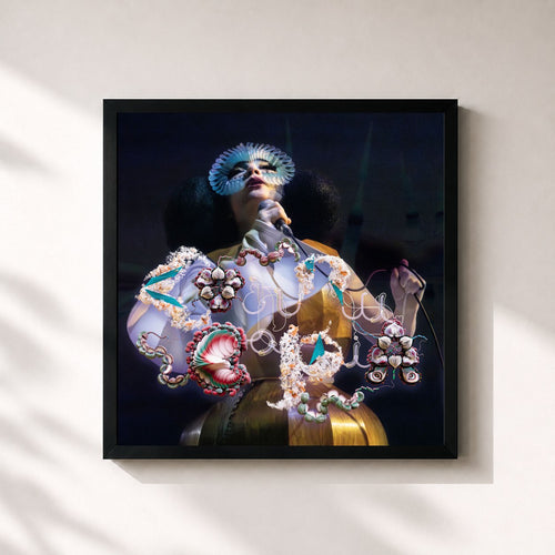 Björk · Cornucopia Live — Stampa incorniciata