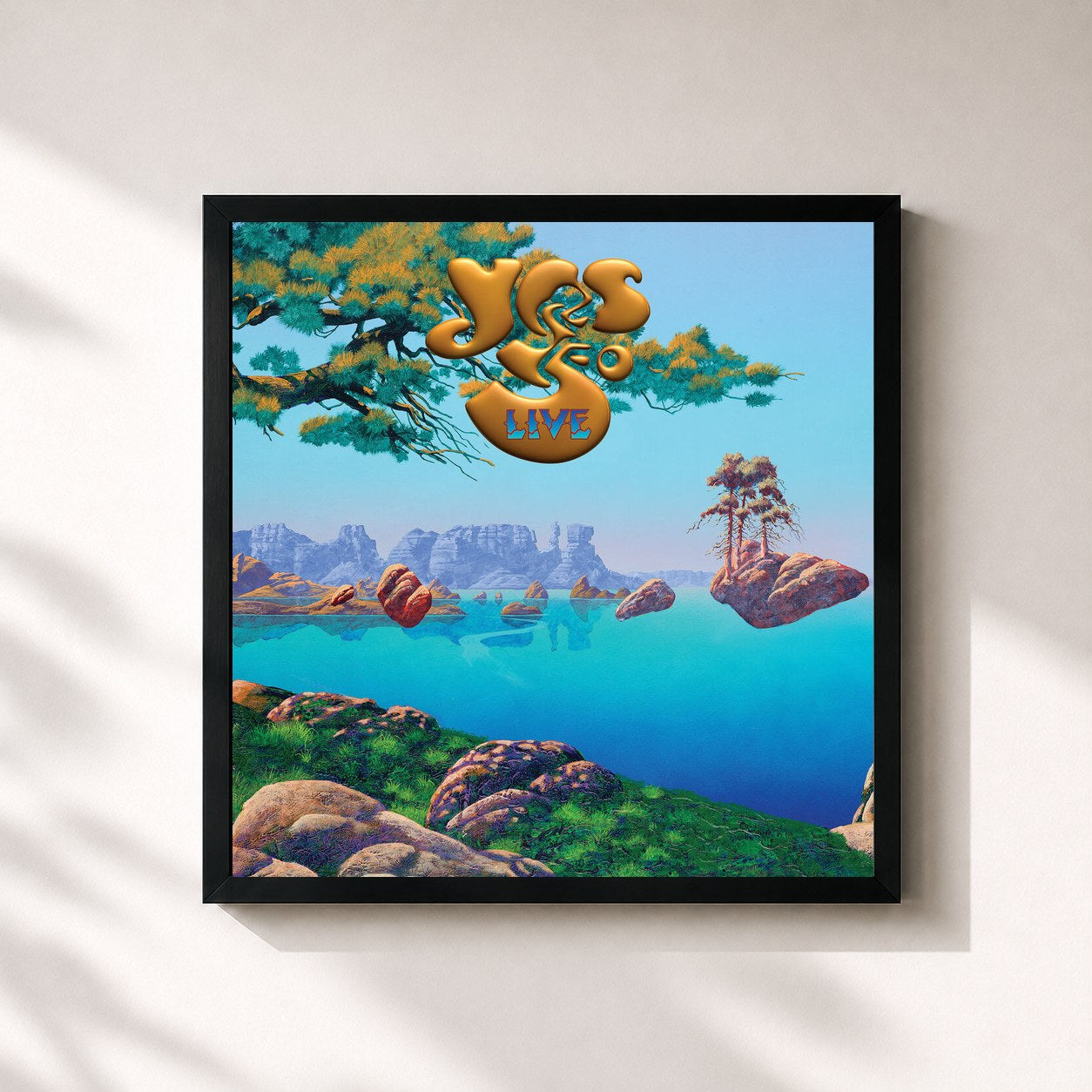 Yes · Yes 50 Live