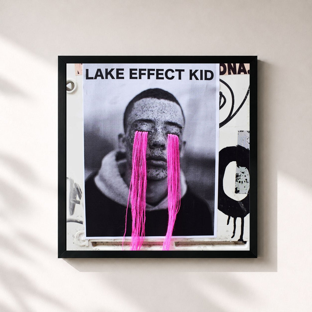 Fall Out Boy · Lake Effect Kid