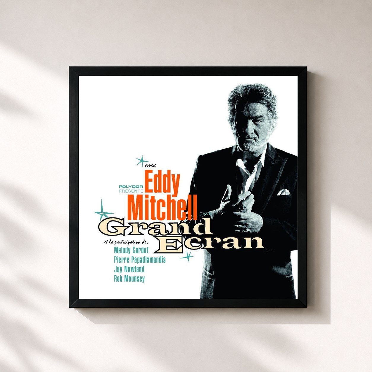 Eddy Mitchell · Grand Ecran