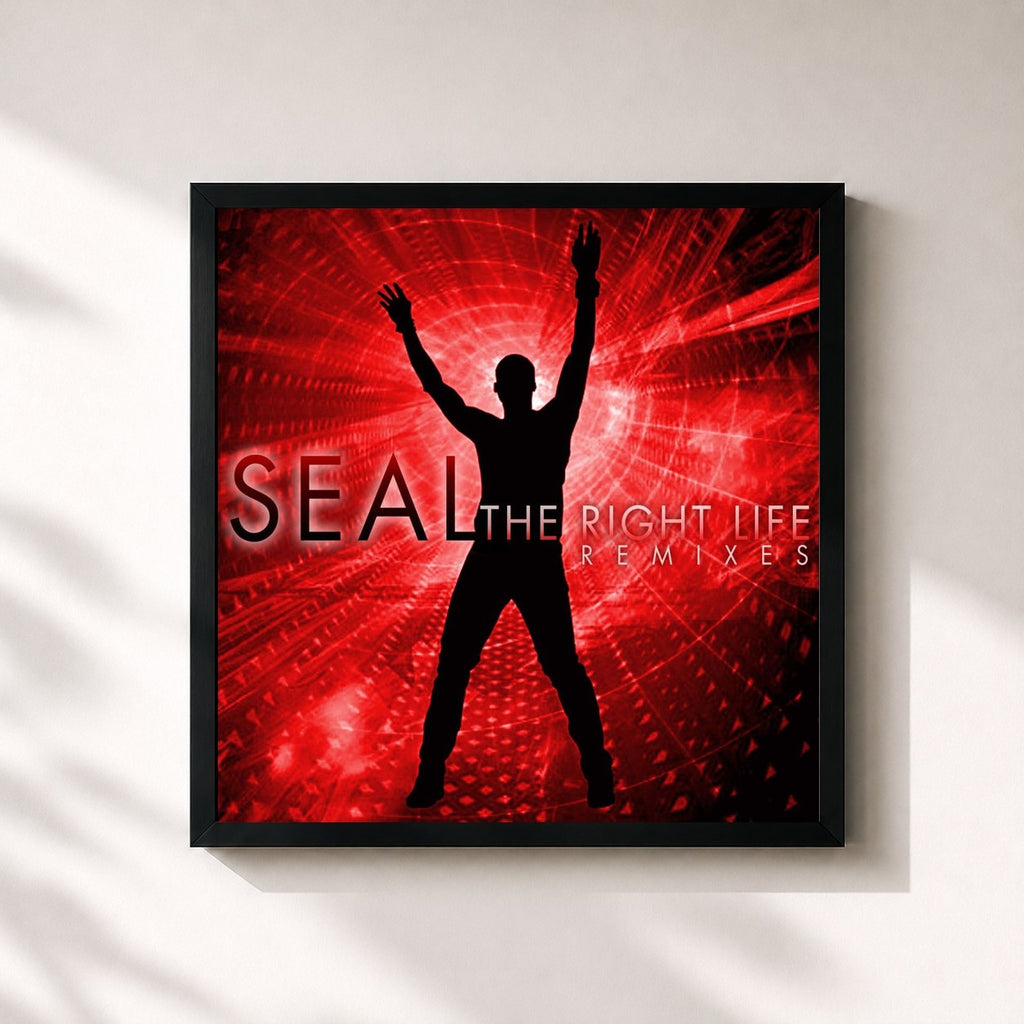 Seal · The Right Life (The Remixes)
