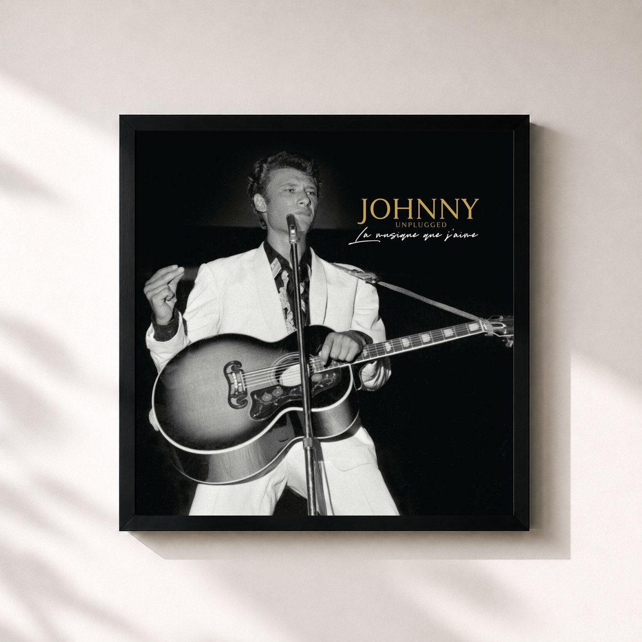 Johnny Hallyday · La Musique que j'aime