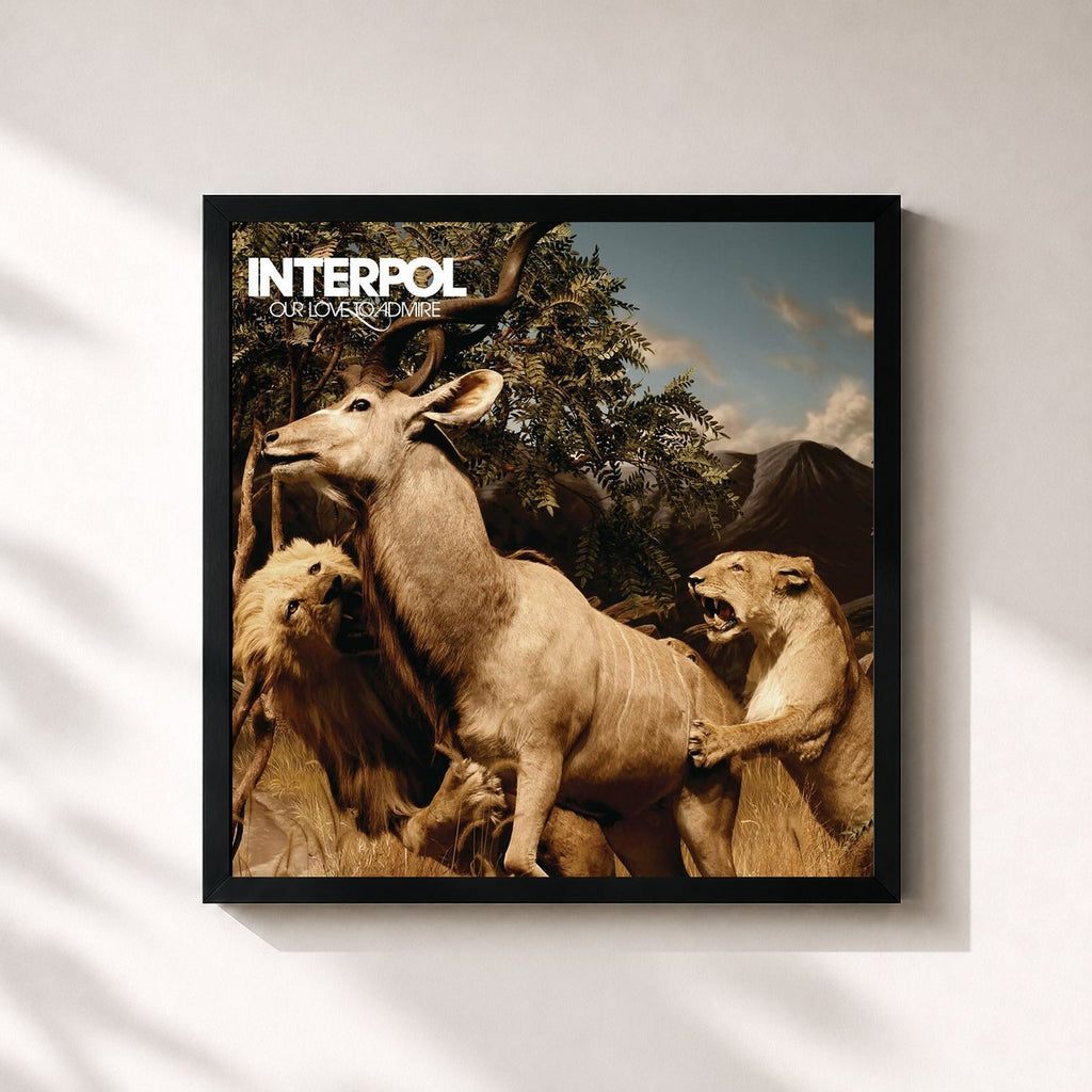 Interpol · Our Love To Admire