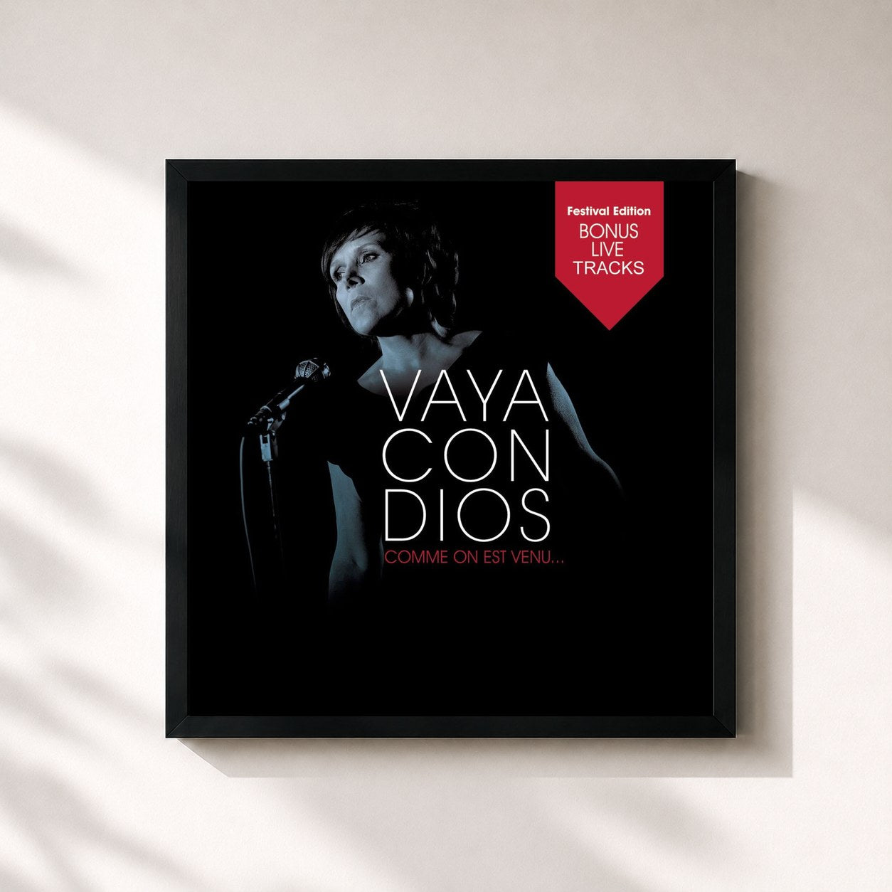 Vaya Con Dios · Comme On Est Venu