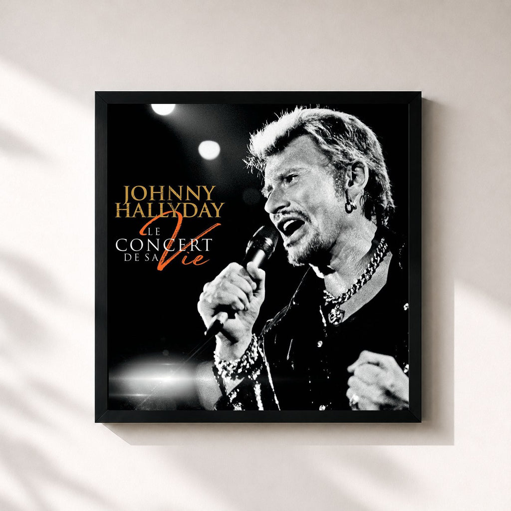 Johnny Hallyday · Le concert de sa vie