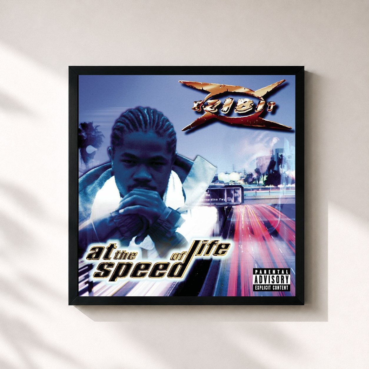 Xzibit · At The Speed Of Life