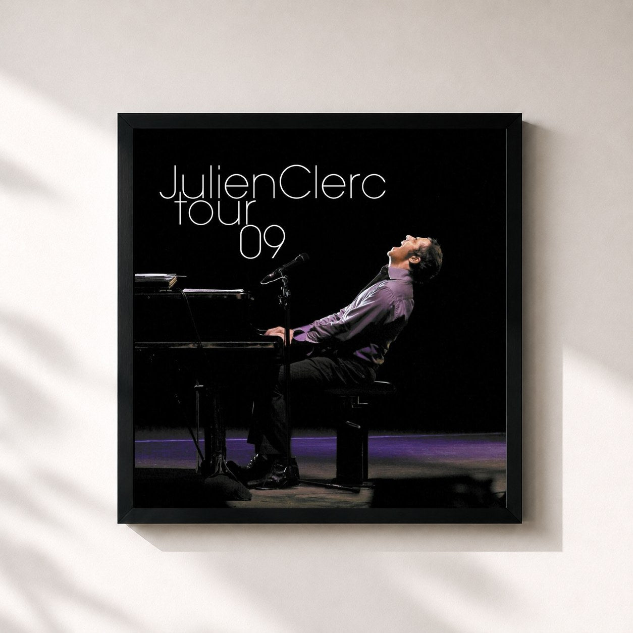Julien Clerc · Tour 09 (Live 2009)