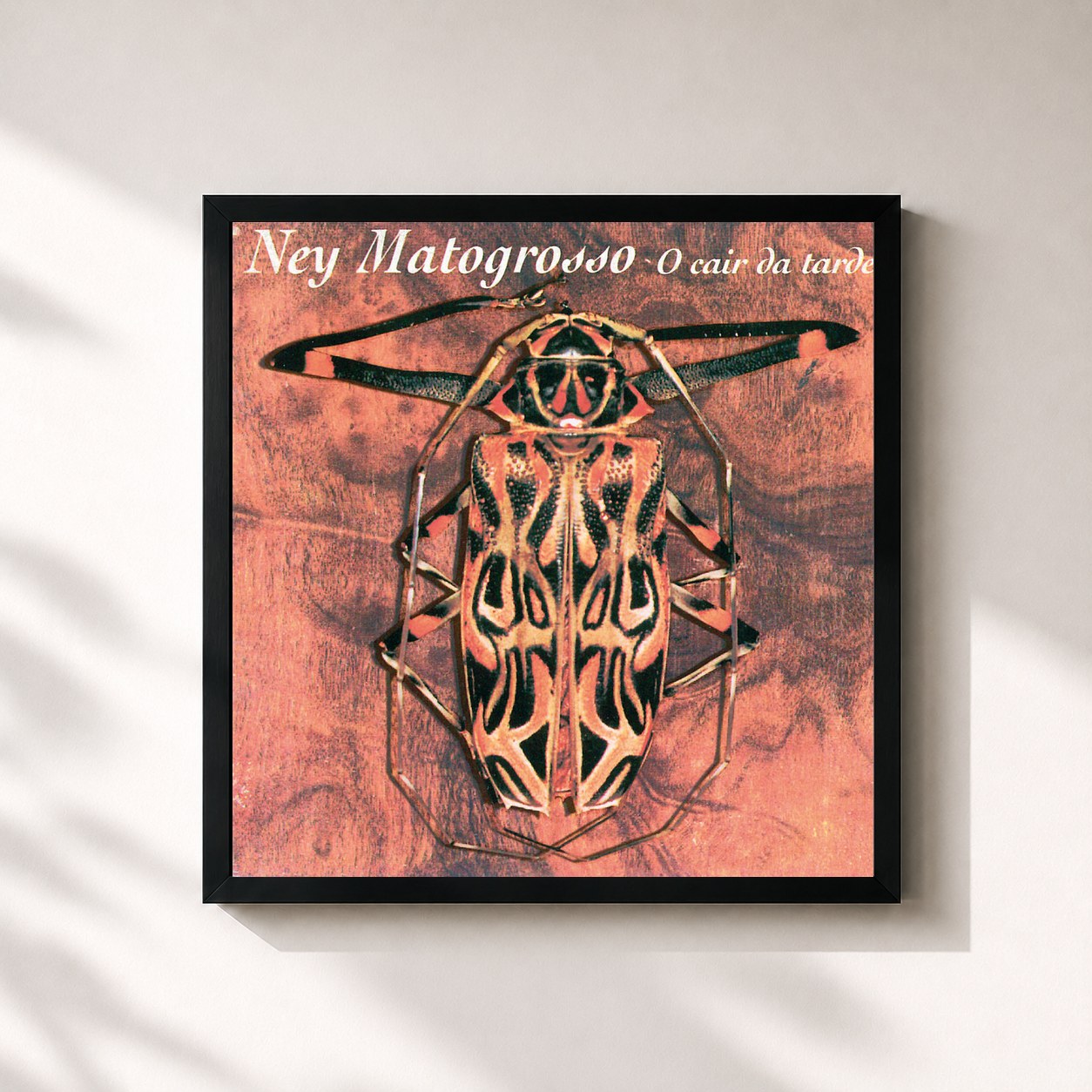 Ney Matogrosso · O Cair Da Tarde