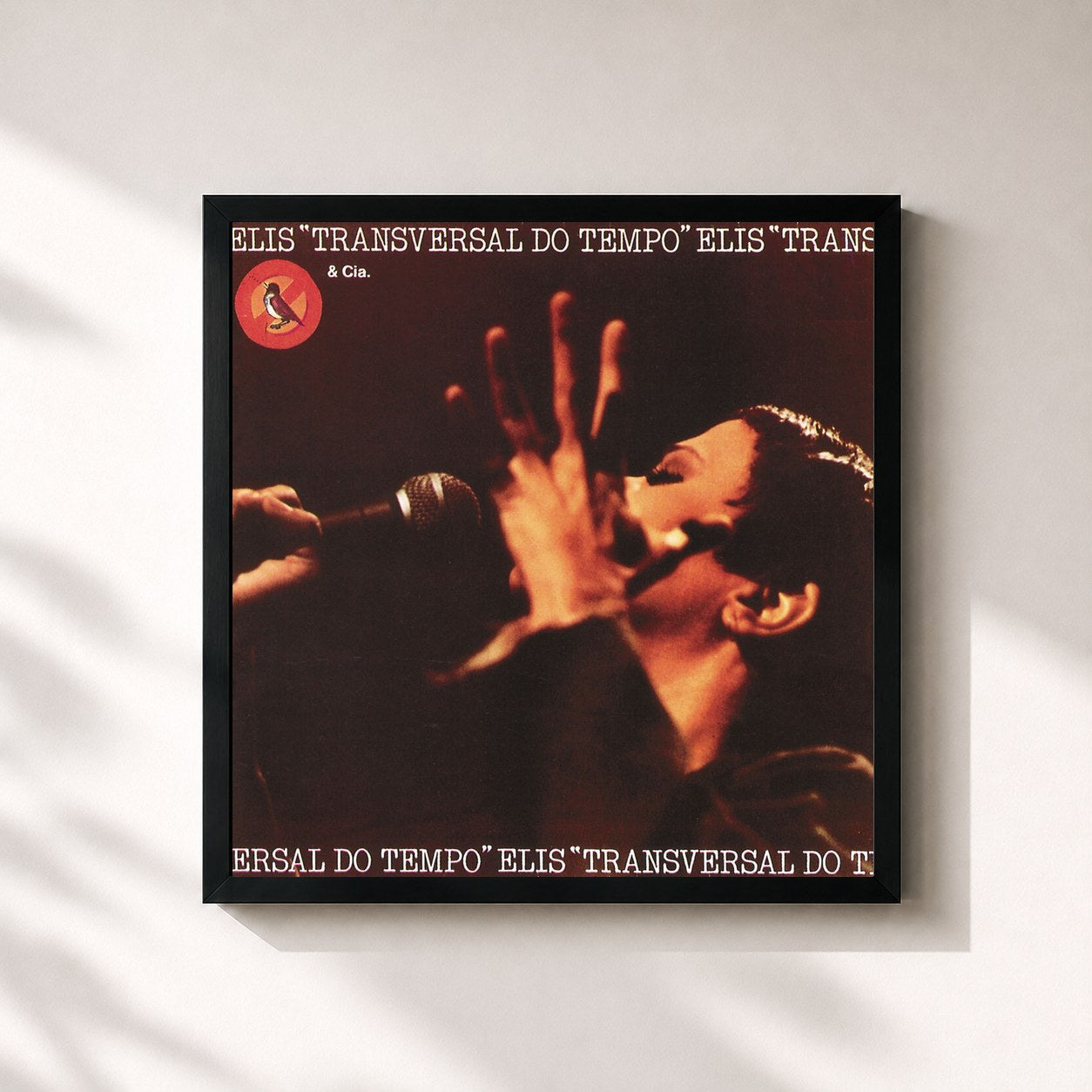 Elis Regina · Transversal Do Tempo