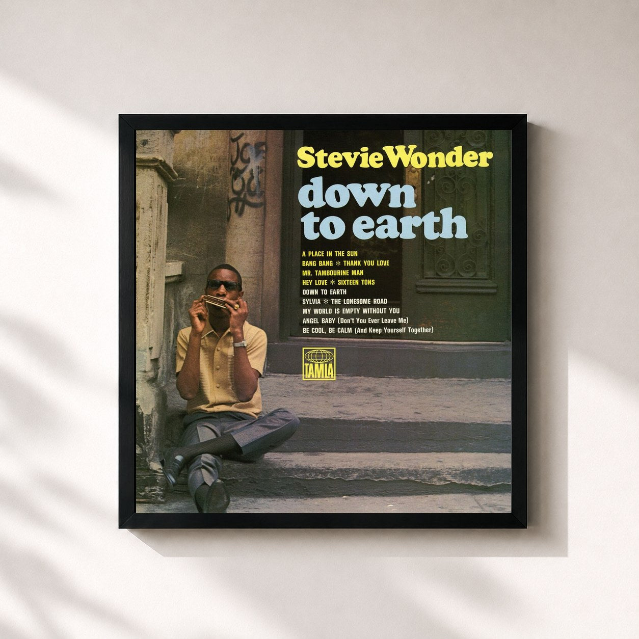 Stevie Wonder · Down To Earth