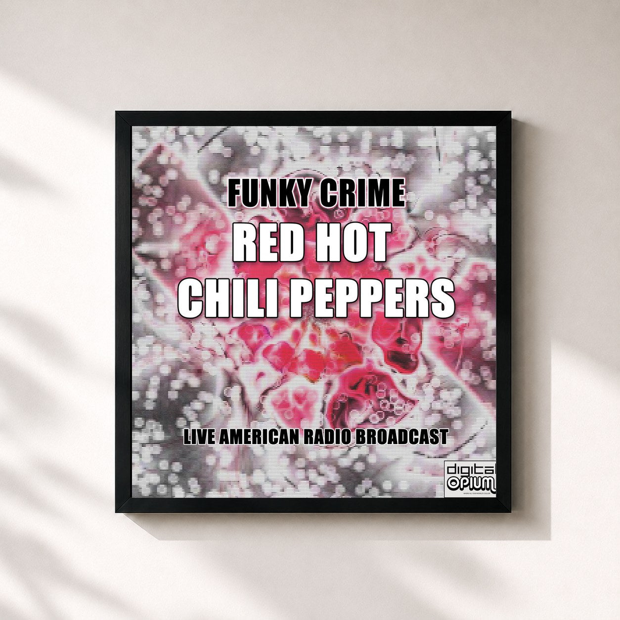 Red Hot Chili Peppers · Funky Crime (Live)