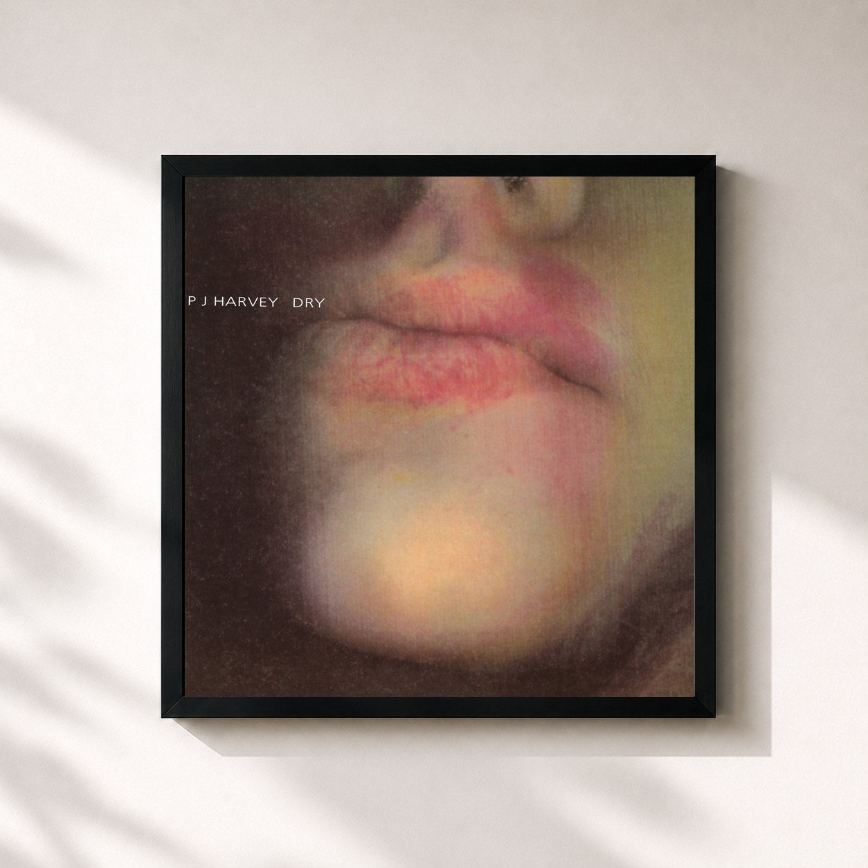 PJ Harvey · Dry