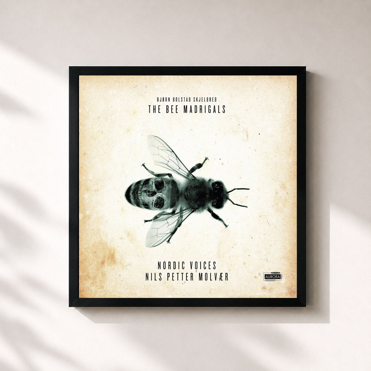 Nils Petter Molvær · The Bee Madrigals