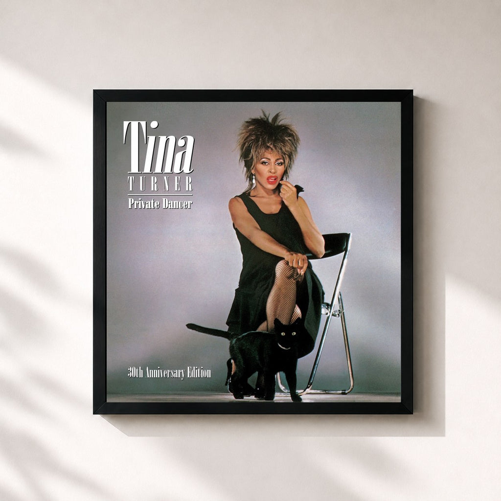 Tina Turner · Private Dancer (30th Anniversary Issue)