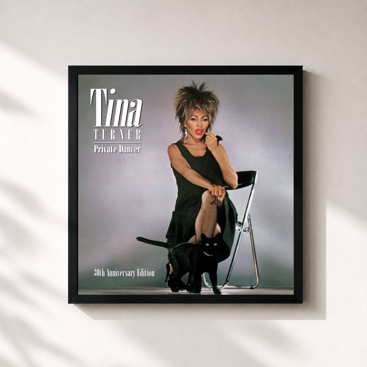 Tina Turner · Private Dancer (30th Anniversary Issue)