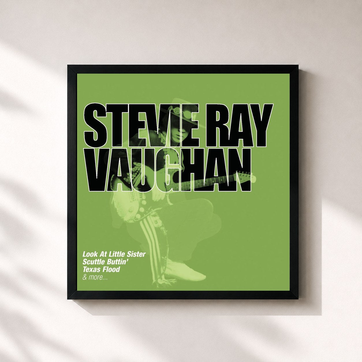Stevie Ray Vaughan · Collections