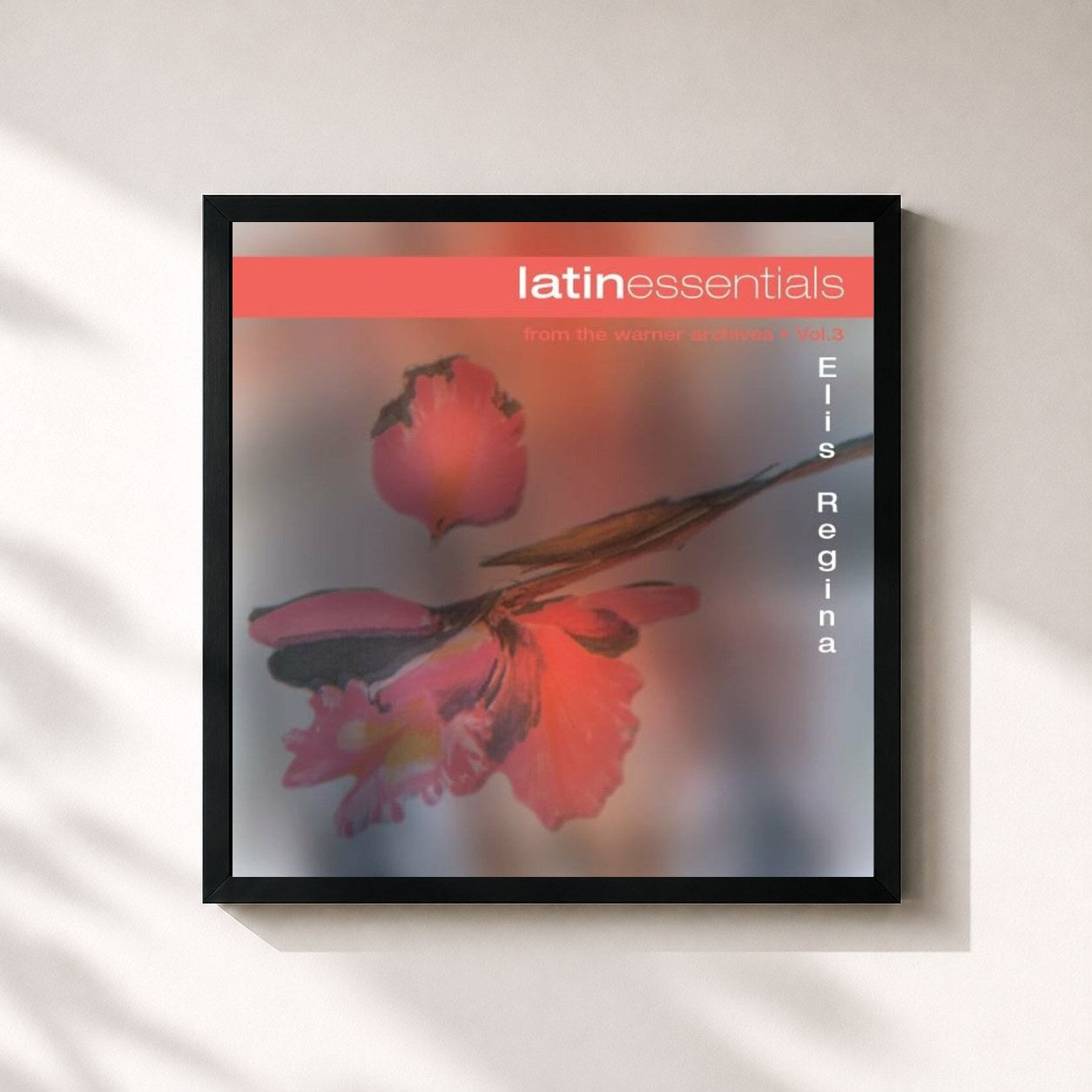 Elis Regina · Latin Essentials
