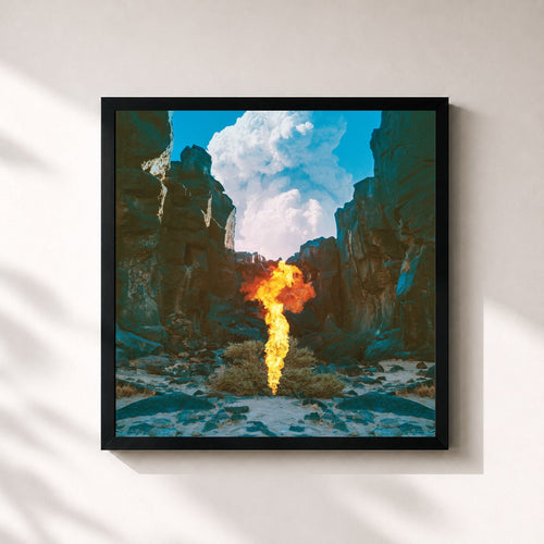 Bonobo · Migration — Affiche encadrée