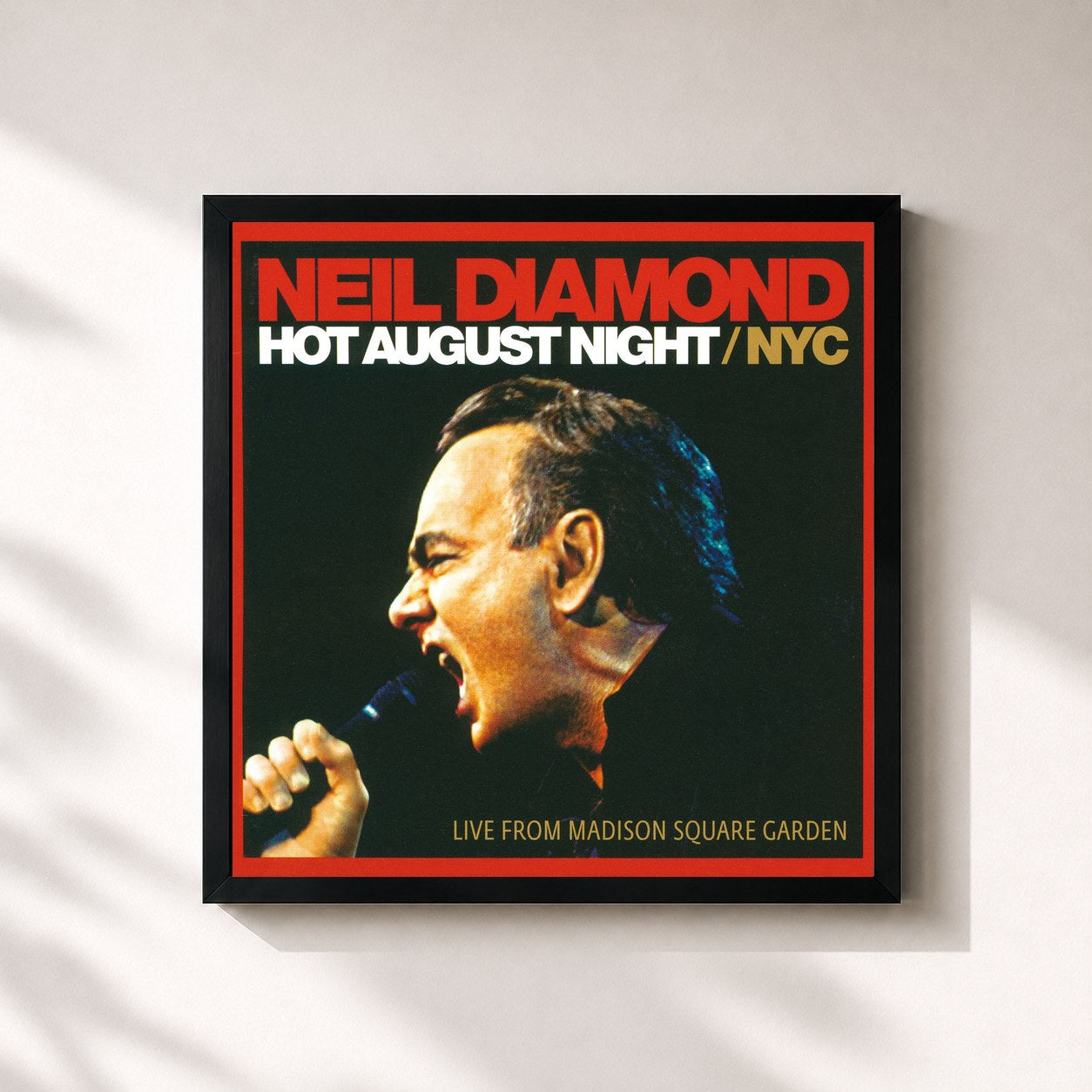 Neil Diamond · Hot August Night / NYC (Live From Madison Square Garden)