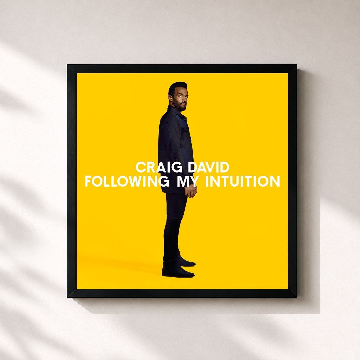 Craig David · Following My Intuition (Expanded Edition)