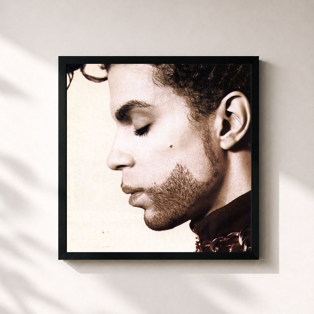Prince · The Hits / The B-Sides